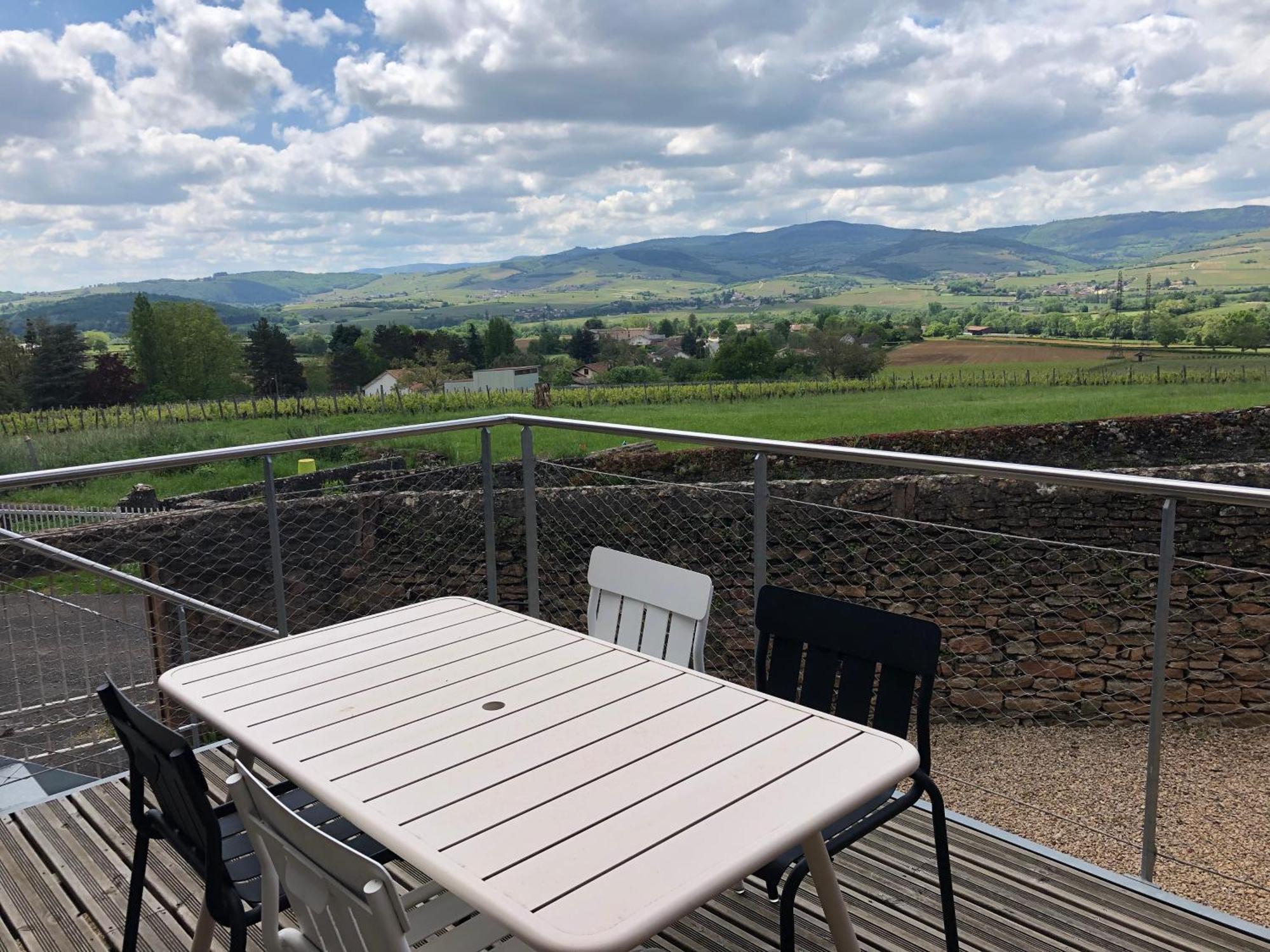 Appartement Contemporain Dans Une Authentique Demeure Viticole Charnay-lès-Mâcon Exteriér fotografie